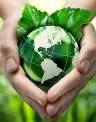 seguridad-ambiental-3_0.jpg