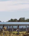 solar_banner_grass_web.jpg