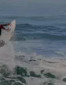 topo-surf-edp.jpg