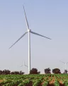 wind_banner_crop_web.jpg