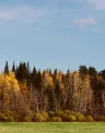 wind_banner_jericho02_web.jpg