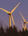 wind_banner_sunset2_web.jpg
