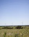 wind_turbine_arbuckle_hero.jpg