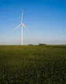 Carpenter%20wind.jpg