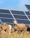 EDP%20Renewables%20Australia.jpg