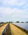 EDP68_Cattlemen_DJI_0351%20%281%29.jpg