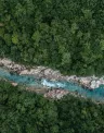 Nature_Stream_decarbonization.jpg