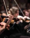 orquestra_11zon.jpg