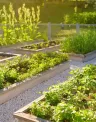 solar%20vegetable%20garden.jpg