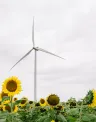 wind_turbine_losmirasoles01.jpg
