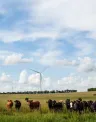 Waverly wind farm