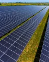 Albina solar farm
