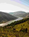 Image of the river Douro Valley in Portugal