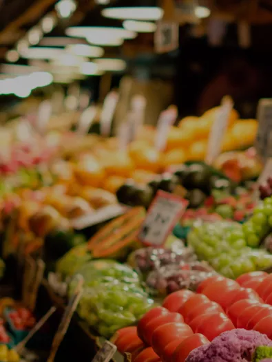 header-economia-circ.jpg