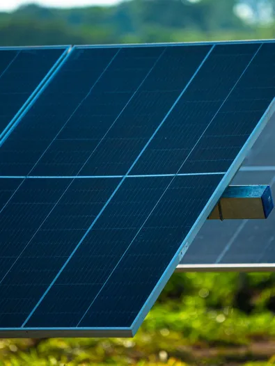 solar panels