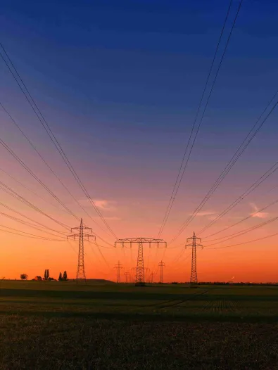 pexels-jplenio-1133500